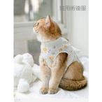猫 術後服 通販 服 ねこ 傷舐め防止 手術後 エリザベスカラー の代用 洋服 ウェア 術後ウェア 皮膚保護 s m l xl サイズ つなぎ