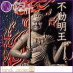 イSム TanaCOCORO[掌] 不動明王 ふどうみょうおう 仏像フィギュア イスム tc3526