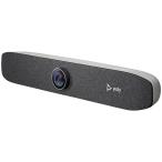 HP 875L1AA PLY Studio P15/ R30 VESA крепление ( опция )