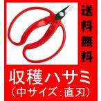 収穫はさみ (中型・直刃タイプ) 果実・野菜の収穫、芽摘や剪定にも最適