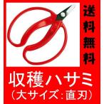 収穫はさみ (大型・直刃タイプ) 果実・野菜の収穫、芽摘や剪定にも最適