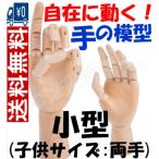 マネキン両手セット 関節付き自在に動く手の模型(小型:子供サイズ) 模写/知育/教育用途