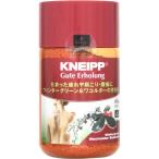 クナイプジャパン クナイプバスソルト グーテエアホールング ウインターグリーン＆ワコルダー850g