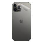  клейкая пленка iPhone 12 Pro Max [ прозрачный * потертость стекло style ]