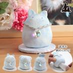  домашнее животное .. минут . для .. inserting .... memorial moni . men to кошка собака ... крепдешин легкий Mini .. модный симпатичный 