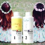 トリートメント ベジコン【2本セット】Cation＆Anion 洗い流さないイオントリートメント VEGE COM 送料無料 ヘアトリートメント アニオン