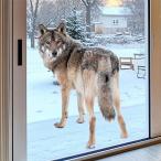 ウォールステッカー  狼 オオカミ ウルフ 動物 アニマル だまし絵 インテリアシール 壁デコレーション 北欧風 DIY リビング