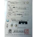 ショッピングペア 白蝶 真珠 南洋 パール フェニックス ペアルース 9.6mm 真珠科学研究所 Phoenix 鳳凰