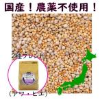 鳥のエサ
