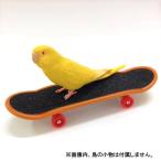  bird toy skateboard 1 piece toy parakeet parrot skateboard . bird skate board( color * pattern designation un- possible )