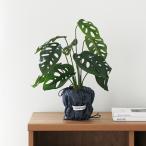  искусственная зелень декоративное растение монстера бегония человеческий труд декоративное растение искусственный цветок интерьер модный Северная Европа Корея интерьер 40cm салон зеленый интерьер растения 