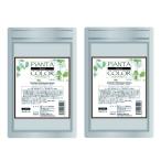  Techno eito Piaa nta лавсония неколючая Brown 100g2 шт. комплект 