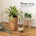 プランター GRNB-52S 鉢入れ アジアン 観葉植物 植物 ウォーターヒヤシンス 雑貨 インテリア 室内 ブラウン 茶色 編み かご ゴミ箱 収納 筒型 5号用 ガーデン