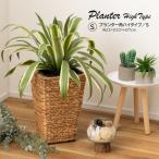 プランター GRNB-53S 鉢入れ アジアン 観葉植物 植物 シンプル ウォーターヒヤシンス 雑貨 インテリア 室内 ブラウン 茶色 編み かご ゴミ箱 収納 角型 5号用