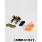 RK �J�V���W���C���g GV530XRE [ED.GOLD]