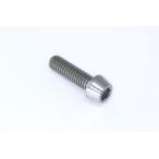  Gale Speed titanium конус болт M6x1 18mm