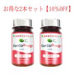 クルクルージュ 390mg×62粒×2個セット CurCuRouge 超高吸収クルクミン サプリメント 緋色のウコン 高吸収クルクミン KIGASURE セラバイオファーマ