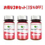クルクルージュ 390mg×62粒×3個セット CurCuRouge 超高吸収クルクミン サプリメント 緋色のウコン 高吸収クルクミン KIGASURE セラバイオファーマ