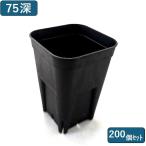 プレステラ 75型  深鉢 ブラック 黒 2
