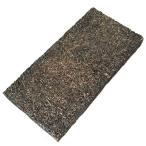 フェゴ着生ボード Ｓサイズ　約１０×２０ｃｍ ウッディ着生ボード