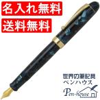 万年筆 名入れ Pent ペント 大西製作所 アセテート オーバルモデル スワロフスキー付き 沈静の煌めき ブルージリコン あすつく クリスマス 爆買