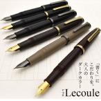 万年筆 セーラー万年筆 名入れ SAILOR レクル 万年筆 ダークカラー 12-0333- プレゼント  クリスマス 爆買