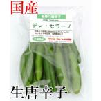 【冷蔵便】国産　生唐辛子　 セラーノ　グリーン　 70g　生鮮品　千葉県産