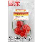 [ рефрижератор рейс ] местного производства ультра . сырой красный острый перец tolinida-do* Scorpion *bchi* Taylor 20g свежий товар Chiba префектура производство 