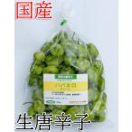 [ рефрижератор рейс ] местного производства ультра . сырой красный острый перец - spring ro зеленый 500g свежий товар Chiba префектура производство 