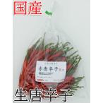 【冷蔵便】国産　生　赤唐辛子　辛口　500g　生鮮品　千葉県産