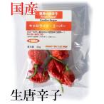 [ рефрижератор рейс ] местного производства ультра . сырой красный острый перец kyarolaina* Lee pa-20g свежий товар Chiba префектура производство 