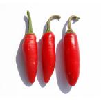[ рефрижератор рейс ] местного производства сырой красный острый перец погреб no красный 500g свежий товар Chiba префектура производство 
