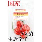 [ рефрижератор рейс ] местного производства ультра . сырой красный острый перец tolinida-do* Scorpion *bchi* Taylor 20g×5 пакет свежий товар Chiba префектура производство 