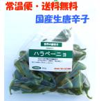 [ обычная температура экспресс доставка на дом * бесплатная доставка ] местного производства сырой красный острый перец - lape-nyo зеленый 500g свежий товар Chiba префектура производство [3 дней в течение квитанция необходимо ]