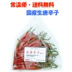 [ обычная температура экспресс доставка на дом * бесплатная доставка ] местного производства сырой красный красный острый перец ..- средний .500g свежий товар Chiba префектура производство [3 дней в течение квитанция необходимо ]