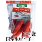 [ обычная температура экспресс доставка на дом * бесплатная доставка ] местного производства сырой красный острый перец - lape-nyo красный 70g×5 пакет свежий товар Chiba префектура производство [3 дней в течение квитанция необходимо ]