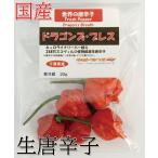 [ рефрижератор рейс ] местного производства ультра . сырой красный острый перец Dragons * breath 20g свежий товар Chiba префектура производство 