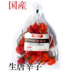 [ рефрижератор рейс ] местного производства ультра . сырой красный острый перец Dragons * breath 250g свежий товар Chiba префектура производство 