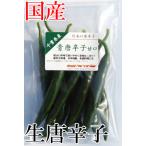 [ обычная температура экспресс доставка на дом * доставка отдельно * почтовая отправка возможно ] местного производства сырой синий красный острый перец ..- средний .70g свежий товар Chiba префектура производство [3 дней в течение квитанция необходимо ]