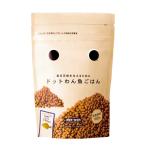 ドッグフード ドットわん 魚ごはん 3kg（1kg×3袋）  えさ アダルト パピー シニア 全年齢 国産 日本製 無添加 ドライフード