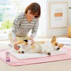 セール　ここちシャワー Sサイズ 介護 介助 お風呂 入浴 犬 猫 ペット 国産 ペピイ ベッド マット 高齢 シニア 小型犬 中型犬 大型犬