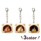 ダックスフンド キーホルダー 失礼しますワン！ダックス　犬 雑貨 チャーム かわいい リアル ペット ペピイ PEPPY