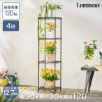 スチールラック 業務用 ルミナス ガーデンラック 屋外用 棚 植物 ガーデニング ラック 幅30 奥行30 高さ120 12.7mm GR303012-4