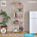 ruminas стальная стойка подставка белый щель Lux обод ширина 25 глубина 60 5 уровень стена поверхность Latte белый LL2560-5WH