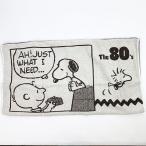 SNOOPY スヌーピー のびのびピローケース７０th 枕カバー B グッズ