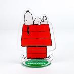 スヌーピー PEANUTS  アクリルクリップ クリップ 文具 ダイカット スヌーピー クリア アクリル クリア