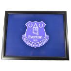 e Barton футбол Club Everton FC официальный товар подушка ввод колено сверху tray колено сверху стол BS3904