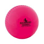 ( Leader z) Readers Kids * ребенок * Junior Windball Youth kli Kett мяч мяч CS1277 ( розовый )