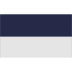 ( карты * спорт ) Carta Sport угол флаг (1 листов ) CS325 ( белый / темно-синий )