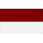 ( карты * спорт ) Carta Sport угол флаг (1 листов ) CS325 ( белый / dark red wine )